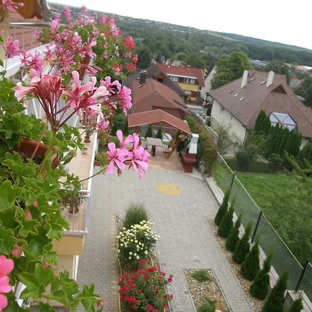 بيت ضيافة Casa Fortuna *